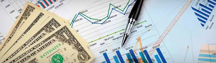 Financial, Accounting, Audit and Tax Services